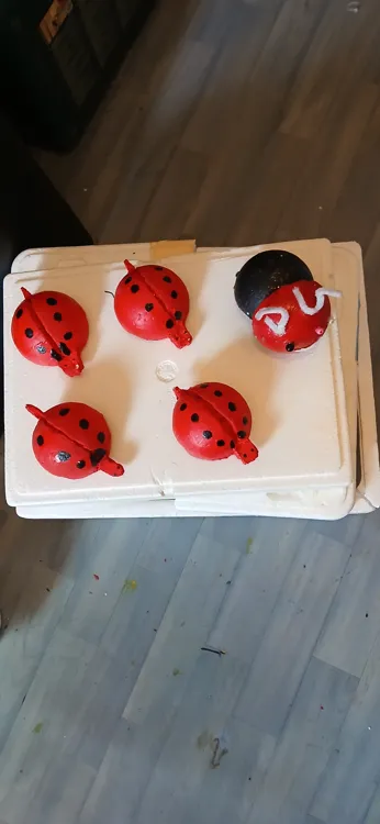 Coccinelles